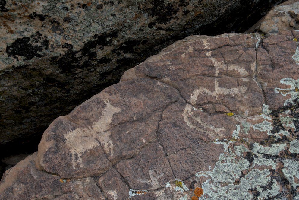Torrey Lake Petroglyph